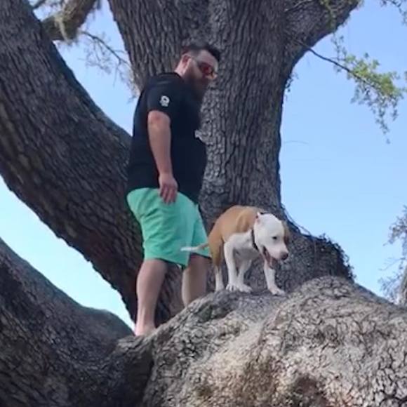 Meet your Posher, Allen - Picture 1 of 1